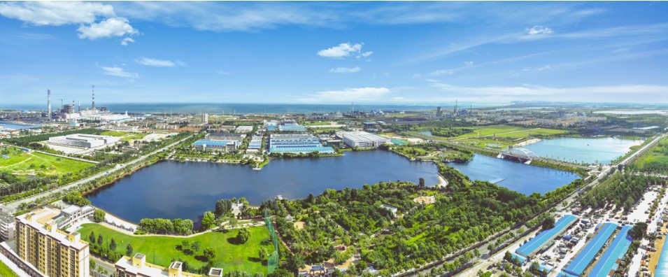 product-955-396 product-955-396